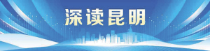msn, 将于, 通过